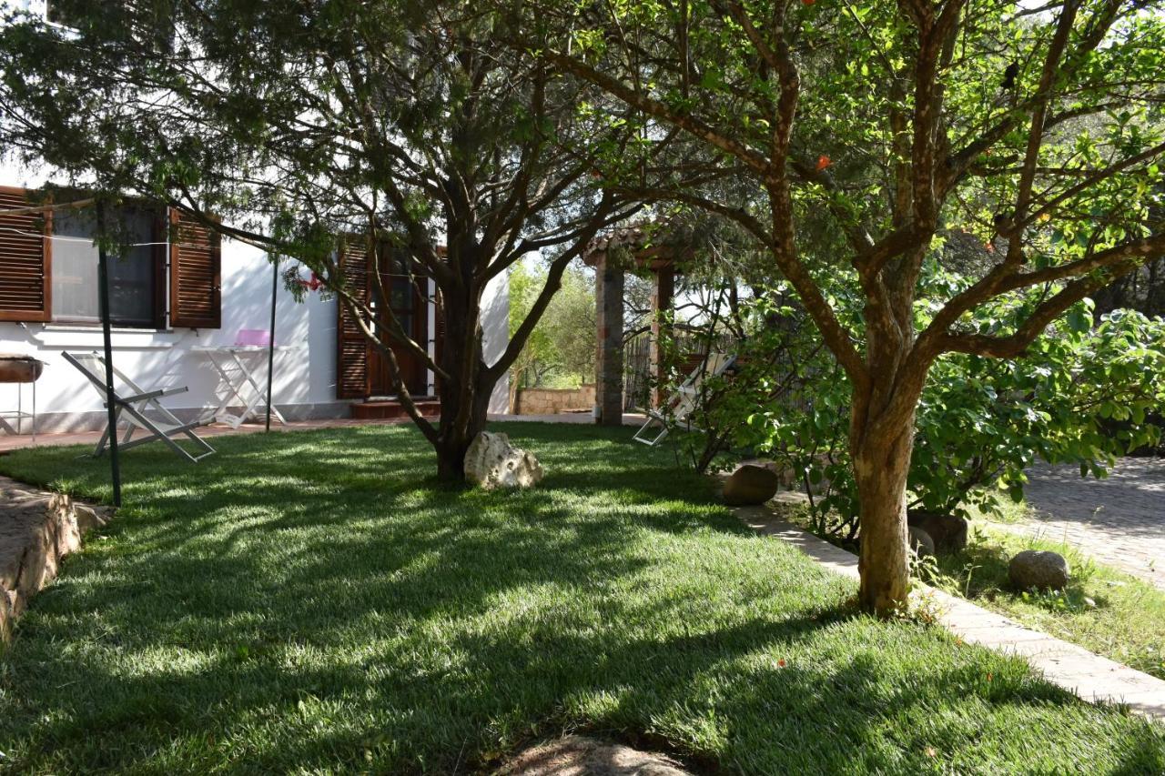 Villa Juniper Santa Maria Navarrese Esterno foto